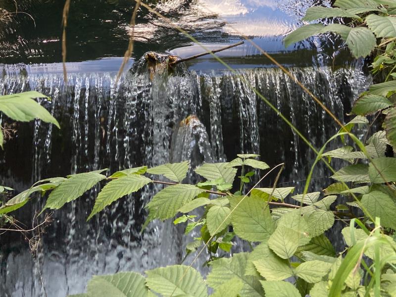 Englischer Garten Explorer